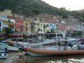 Isola del Giglio 15_06_2008_0036